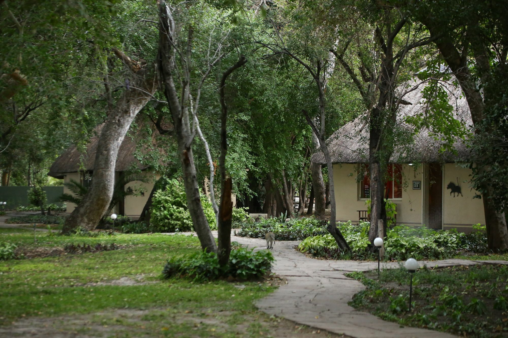 Island Safari Lodge Maun Luaran gambar
